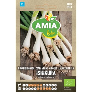 Seminte bio de ceapa verde Amia Blanc Ishikura 1 gram